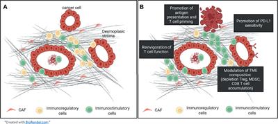 Translational Learnings in the Development of Chemo-Immunotherapy Combination to Bypass the Cold Tumor Microenvironment in Pancreatic Ductal Adenocarcinoma